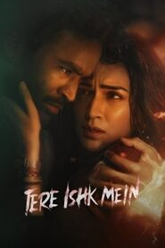 Tere Ishk Mein (2025) Hindi HD Netflix
