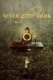 Never After Dark (2026) English HD