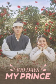 100 Days My Prince (2018) Hindi Season 1 Complete AMZN
